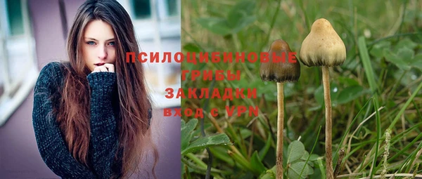 скорость Арсеньев