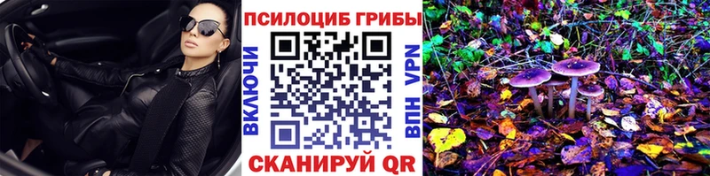 omg ссылки  Баксан  Псилоцибиновые грибы Psilocybe 